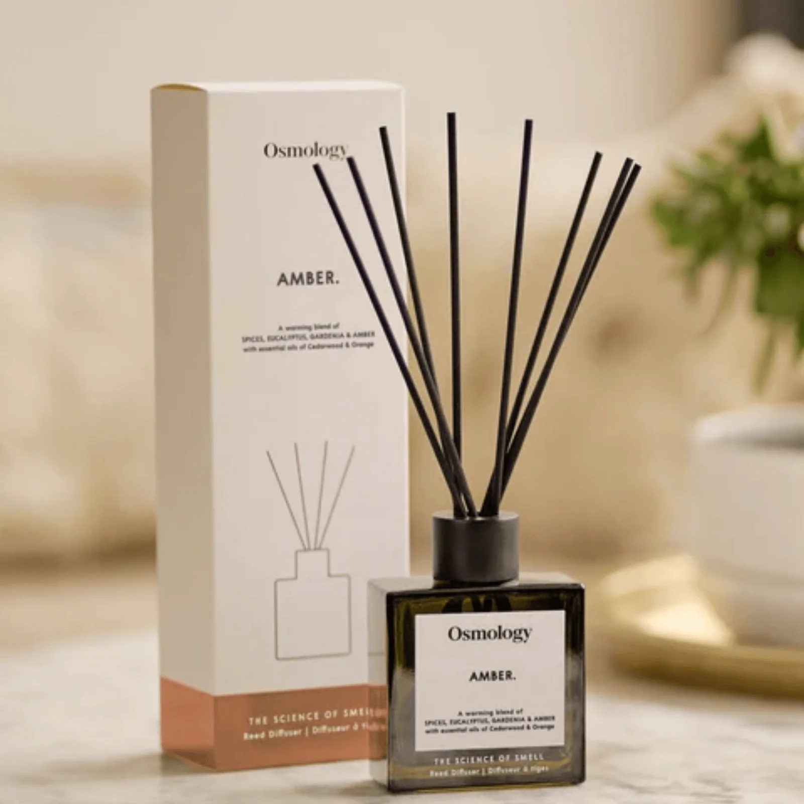 Osmology by Aery Amber Diffuser - Image 2
