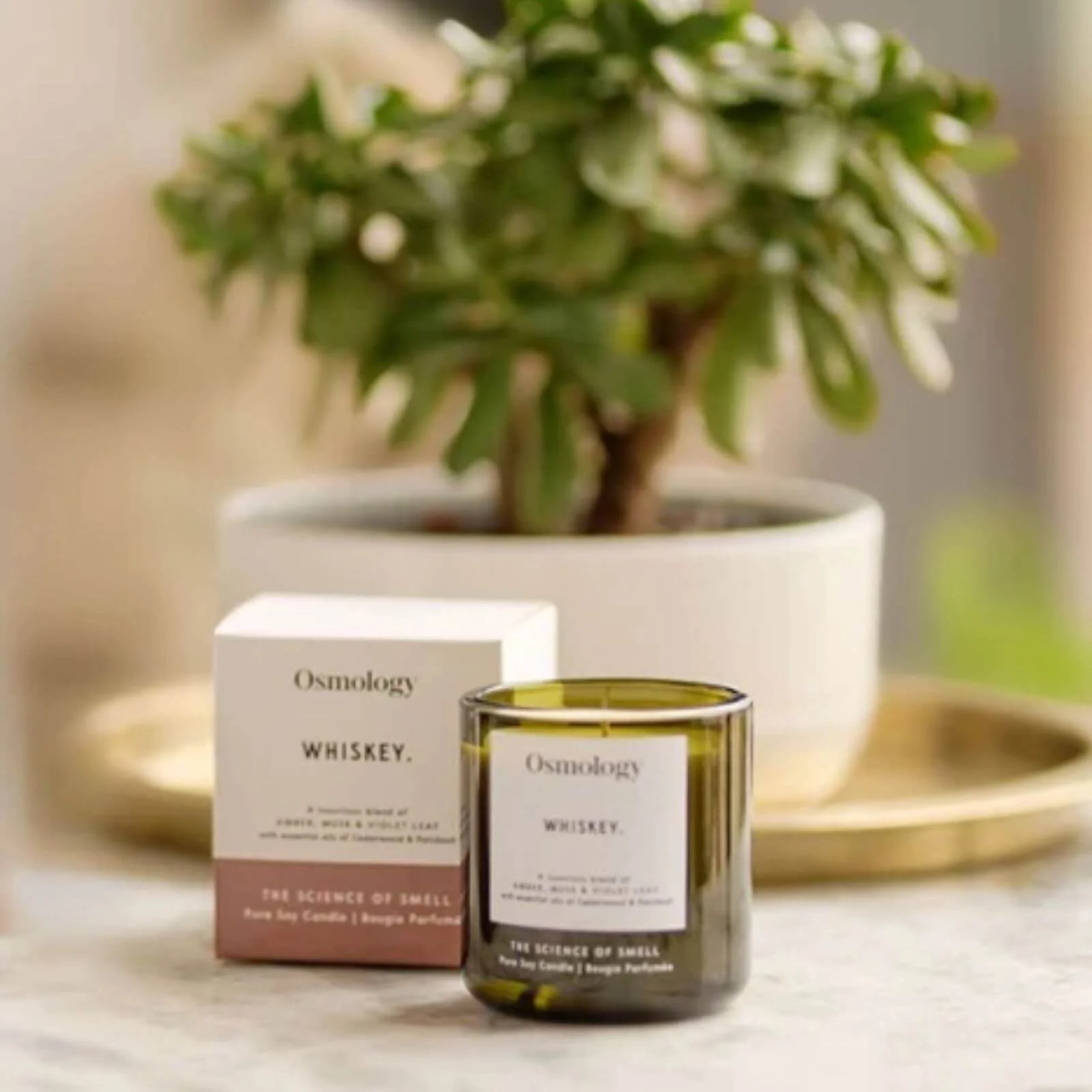 Osmology by Aery Whiskey Scented Candle - Amber, White Musk & Rose - Image 2