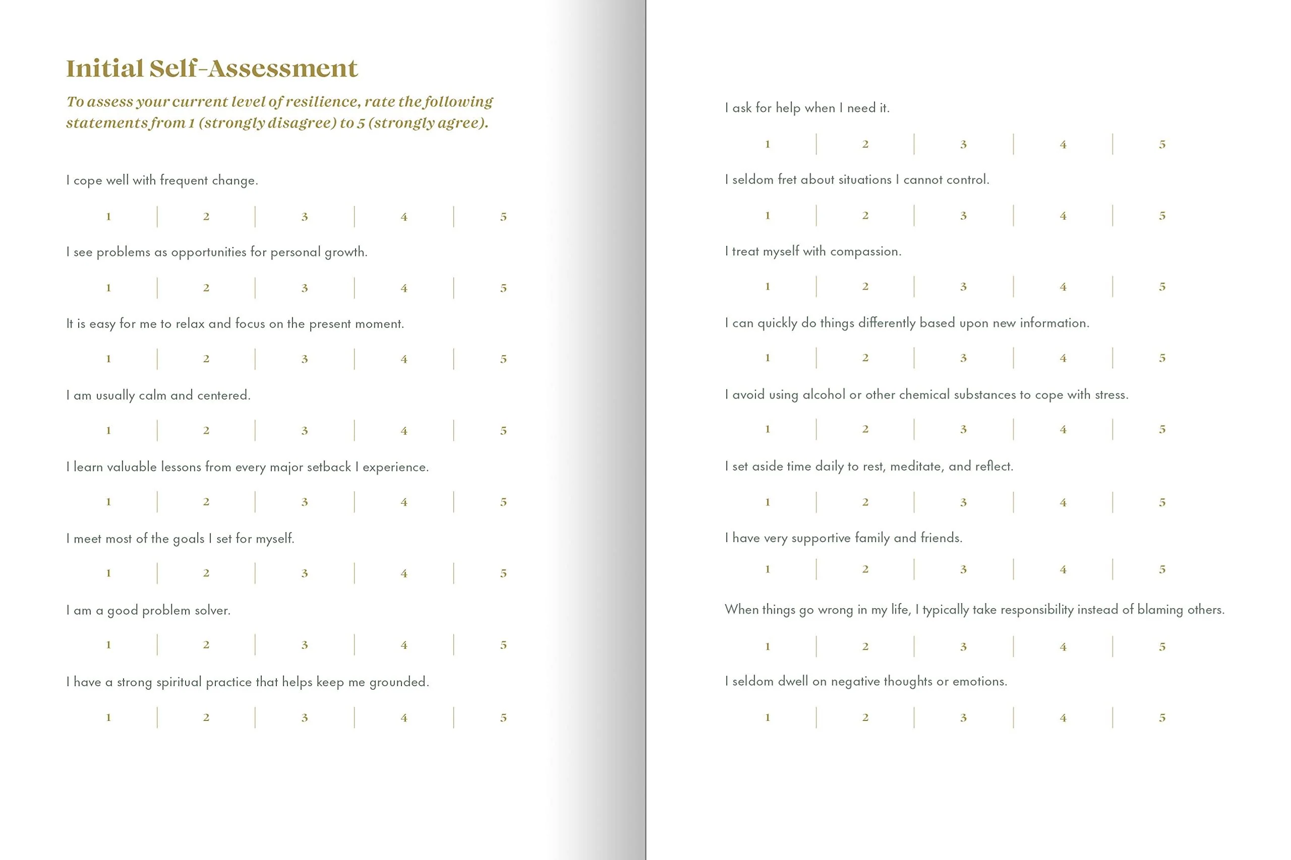 The Resilience Journal - Image 3