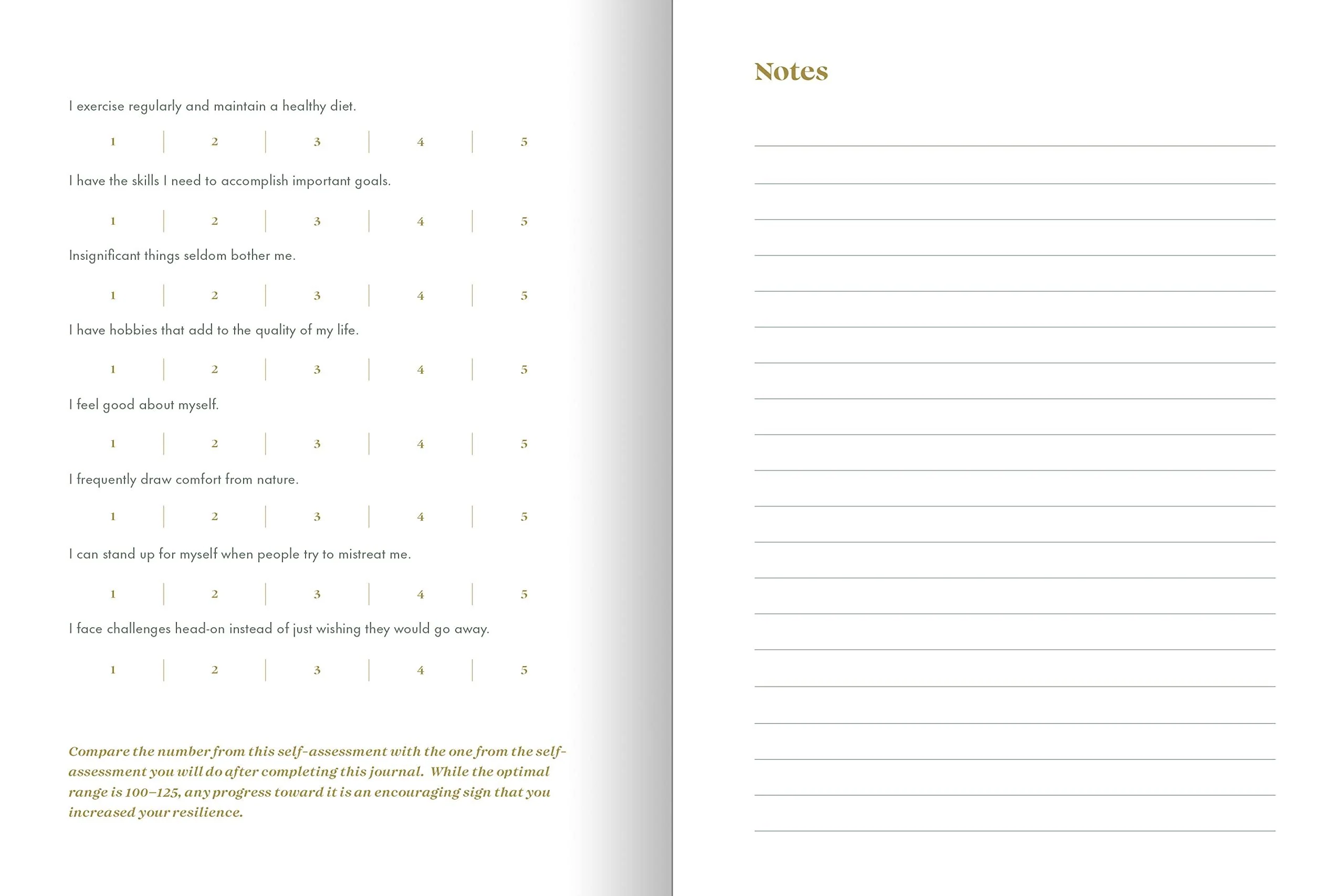 The Resilience Journal - Image 4
