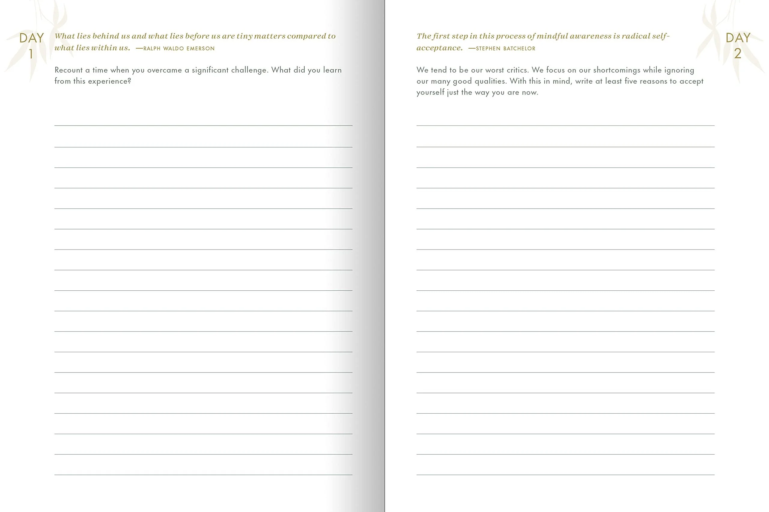 The Resilience Journal - Image 5