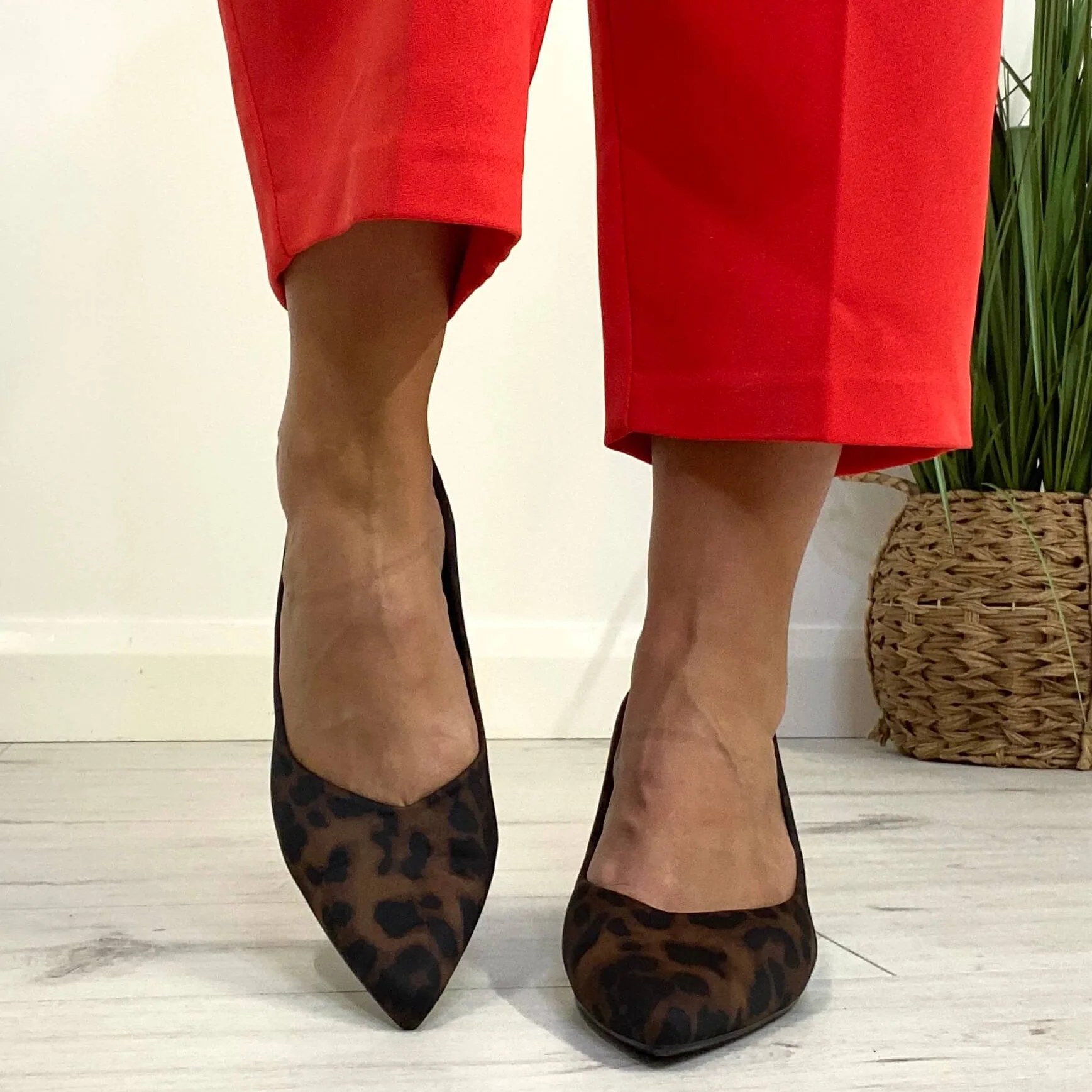 XTI Leopard Pattern Pointed Toe Kitten Heel Shoes - Image 5